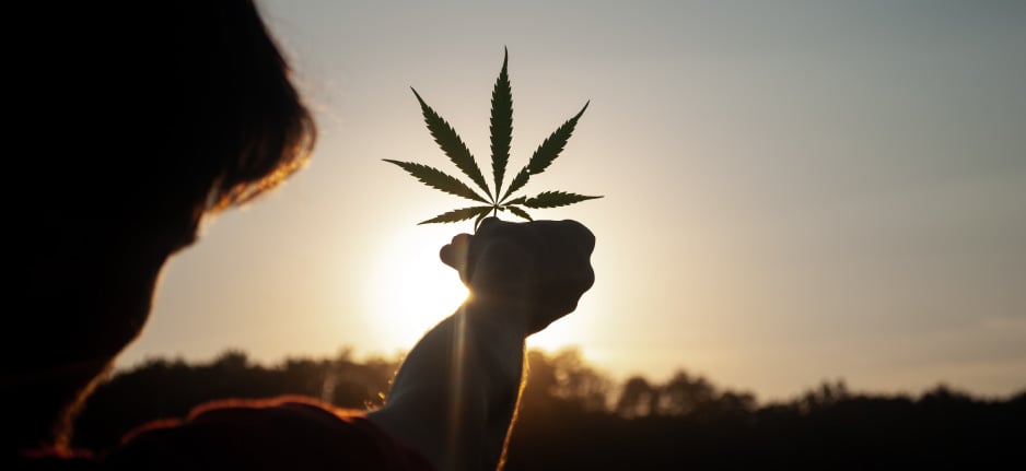 person holding cannabis leaf up to sky