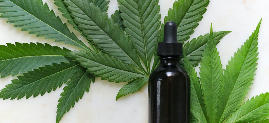 cannabis tincture in front of cannabis leaf